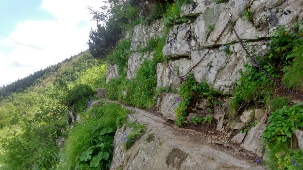 Agroturystyka Lesny Zakatek Стрышава Экстерьер фото