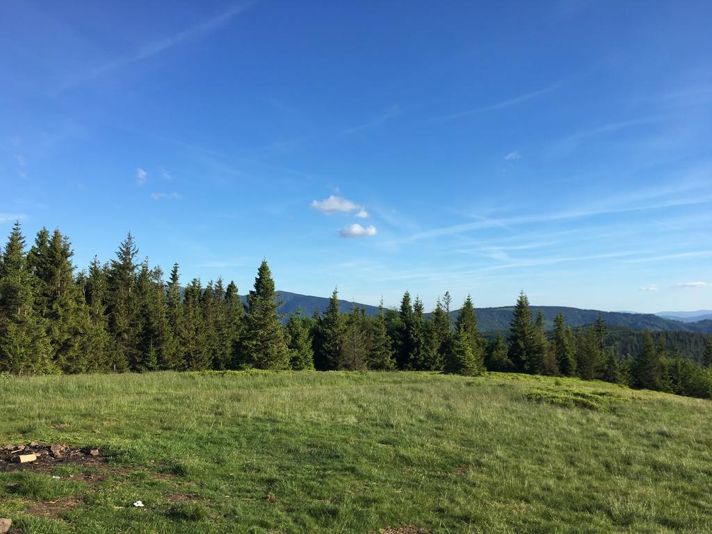 Agroturystyka Lesny Zakatek Стрышава Экстерьер фото
